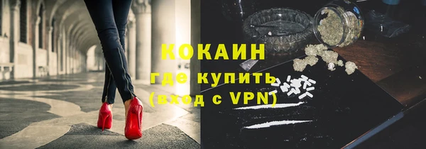 крисы Покачи