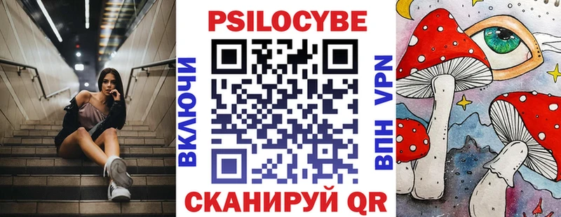 купить закладку  Алупка  Псилоцибиновые грибы Psilocybe 